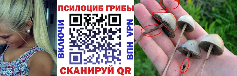 Псилоцибиновые грибы GOLDEN TEACHER  Петровск 